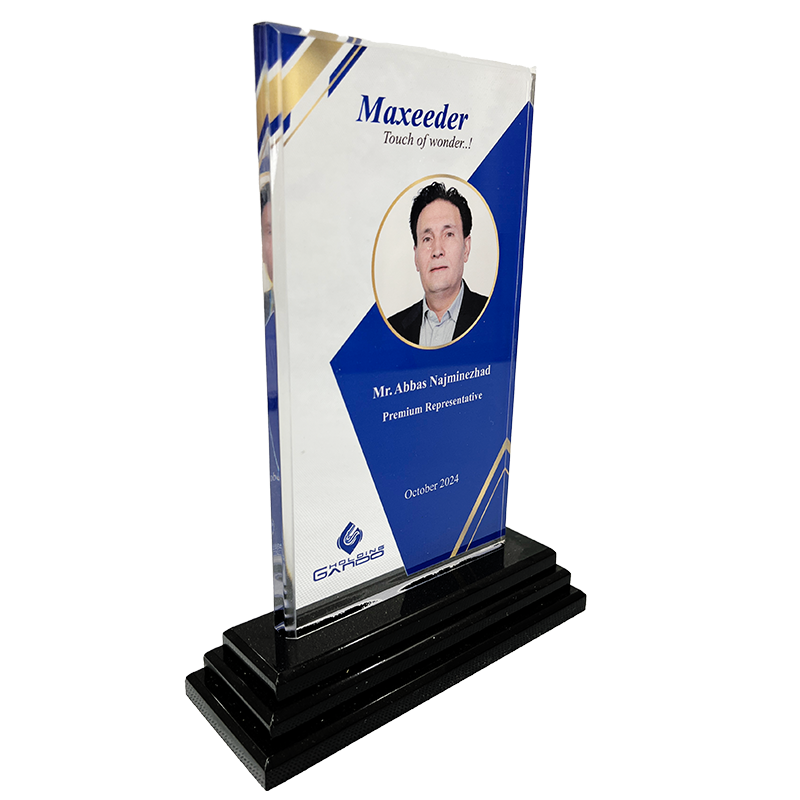 یادبود نماینده ممتاز از شرکت Maxeeder – اکتبر 2024