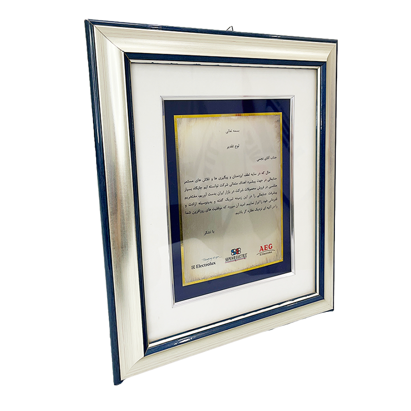 تقدیر سپهر الکتریک از عباس نجمی – نقش‌آفرینی در توسعه فروش