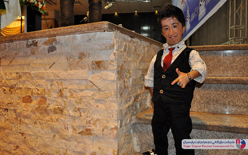 همایش کولرسپهر الکتریک دی ماه نود وشش