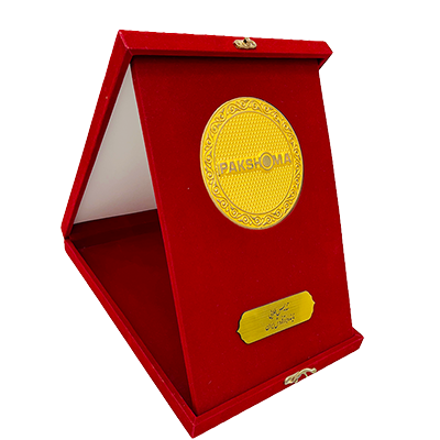 تندیس طلایی نماینده برتر فروش پاکشوما